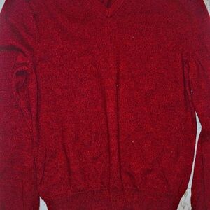 Express Deep Red V-Neck Sweater